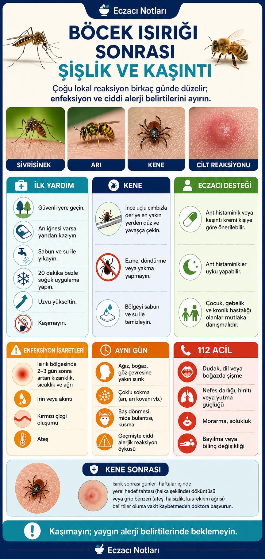 Böcek ısırığı sonrası şişlik ve kaşıntı infografiği